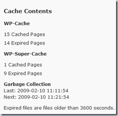 WP Super Cache statistics showing cached content metrics