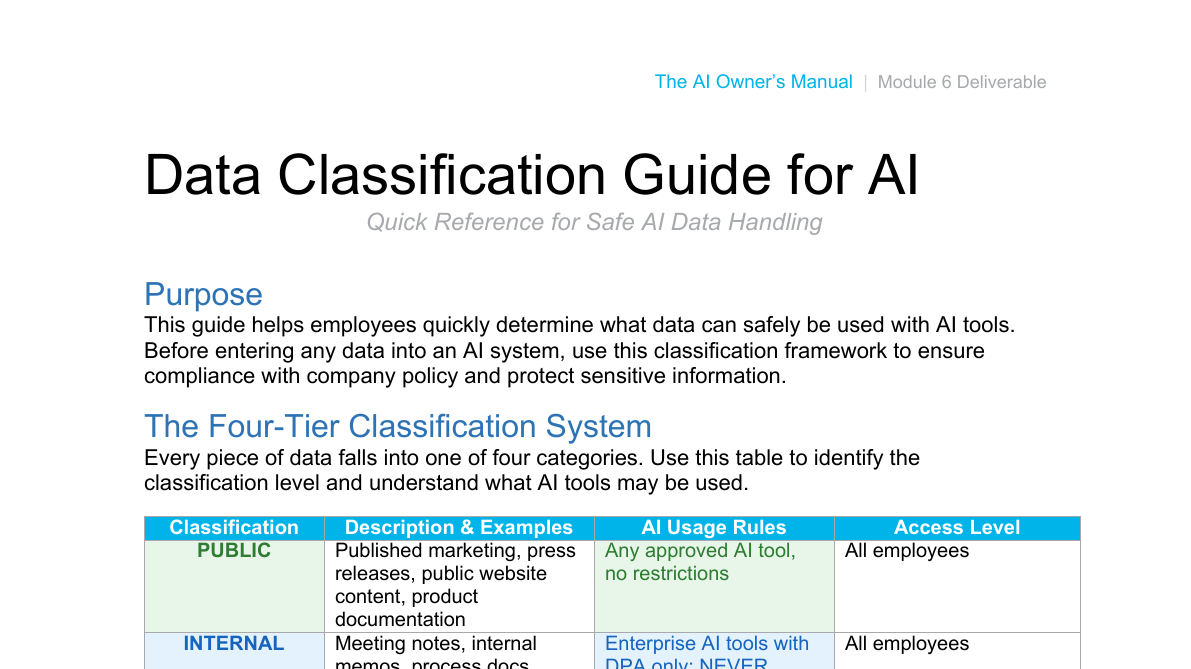 Turing Data Classification Levels Data Classification Guide for AI | Jess Coburn
