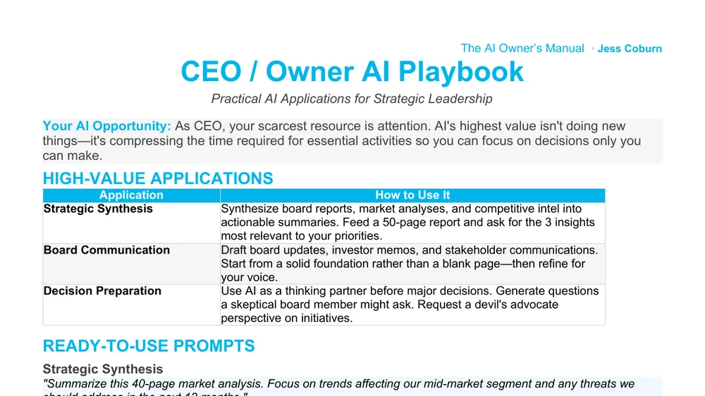 Preview of CEO AI Playbook