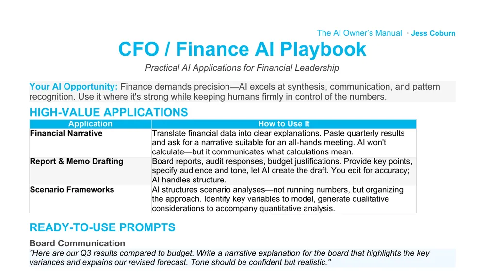 Preview of CFO AI Playbook